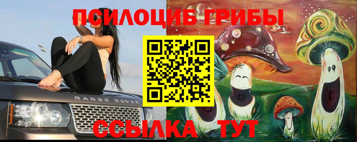 Псилоцибиновые грибы GOLDEN TEACHER  Вход с VPN  Наро-Фоминск 
